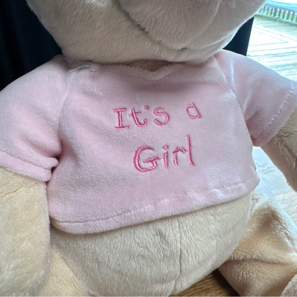 Disney RARE Winnie The Pooh Bear “It’s a Girl” Plush Stuffed Animal Pink Shirt - Picture 2 of 8
